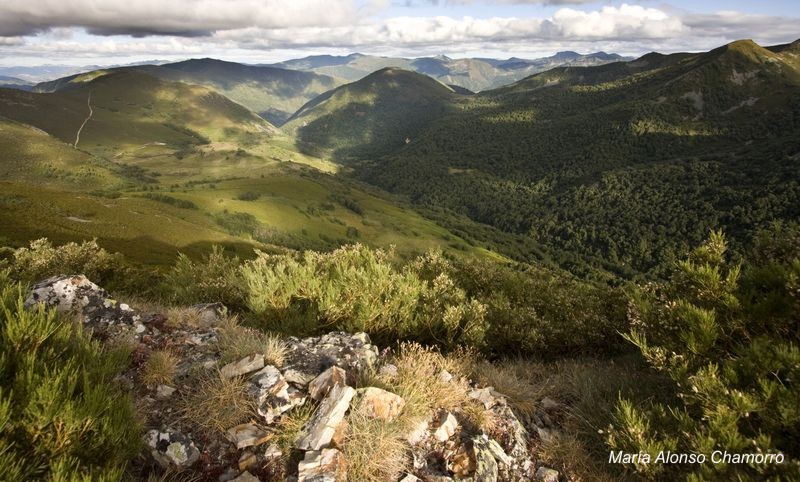 Paseo_entre_los_montes_de_Caboalles_y_Tejedo_del_Sil.jpg
