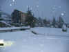 123-2314_IMG.jpg (73325 bytes)