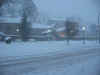 123-2319_IMG.jpg (68449 bytes)