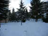 123-2320_IMG.jpg (95348 bytes)