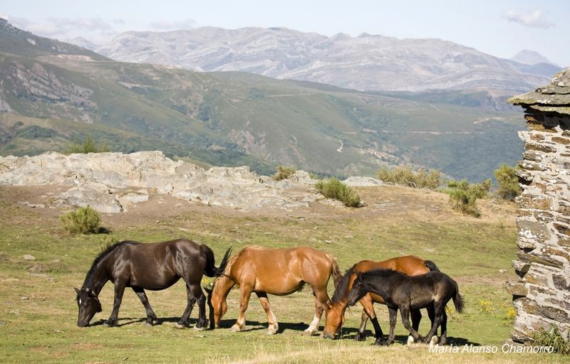 Veranos_en_el_refugio_de_Buenverde.jpg