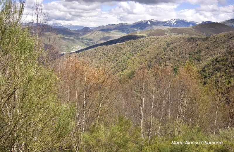 Vistas_del_Valle_desde_Brana_Ronda.jpg